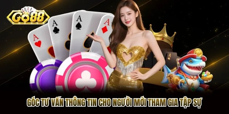 Góc tư vấn thông tin cho người mới tham gia tập sự