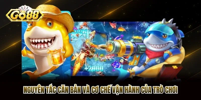 Nguyên tắc căn bản và cơ chế vận hành của trò chơi Nguyên tắc căn bản và cơ chế vận hành của trò chơi