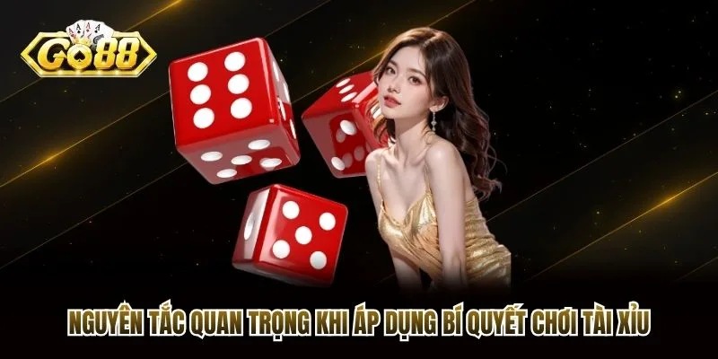 Nguyên tắc quan trọng khi áp dụng bí quyết chơi Tài Xỉu Nguyên tắc quan trọng khi áp dụng bí quyết chơi Tài Xỉu